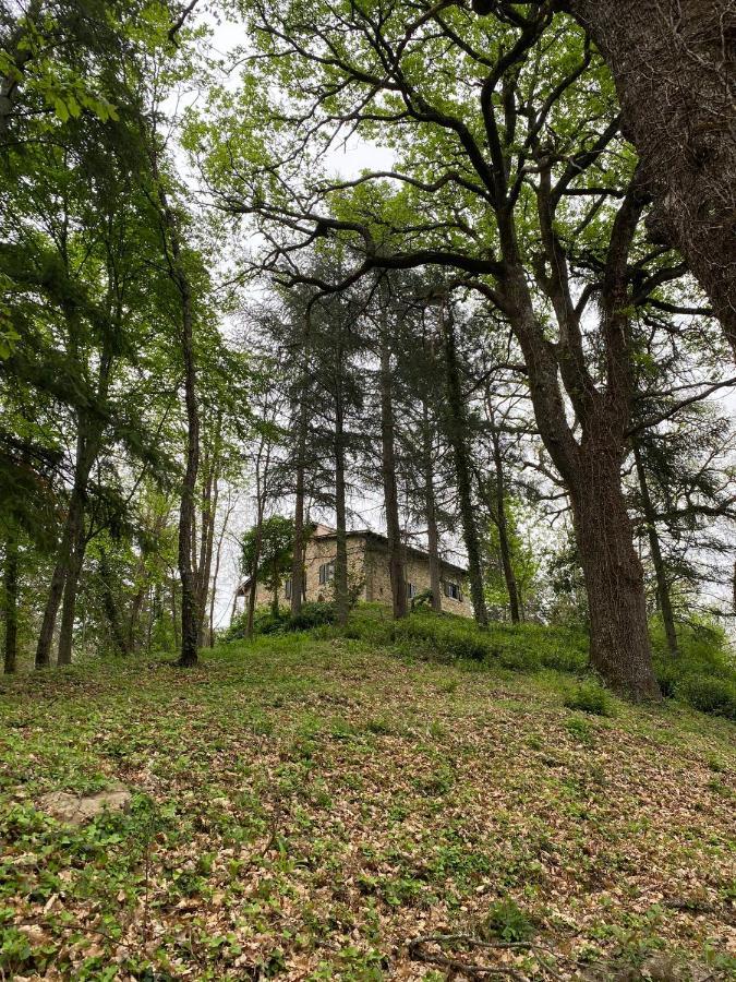 Naturemugello Oasi Naturista Dicomano Экстерьер фото